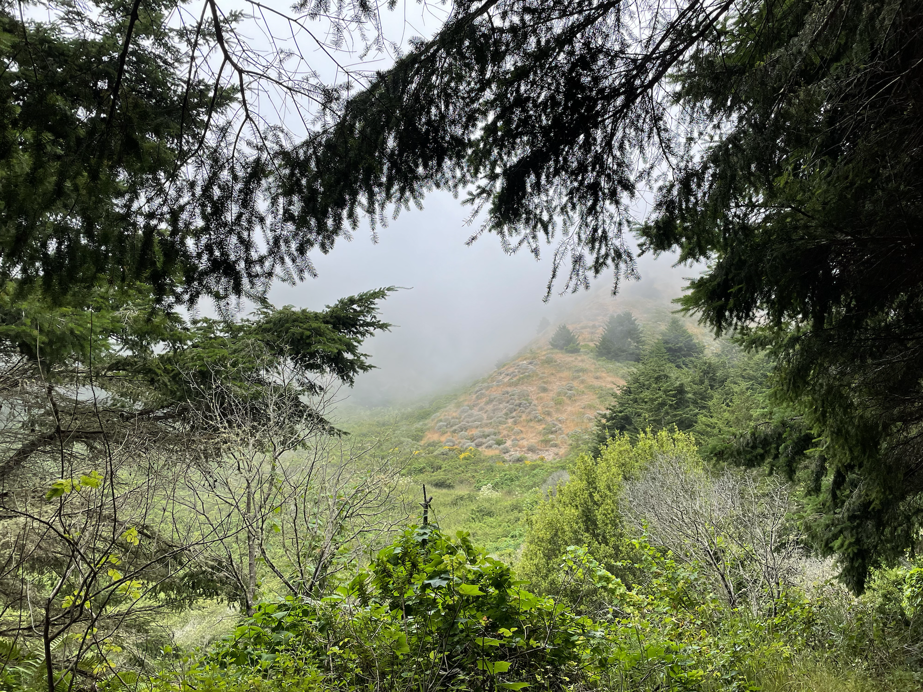 alamere falls, ca